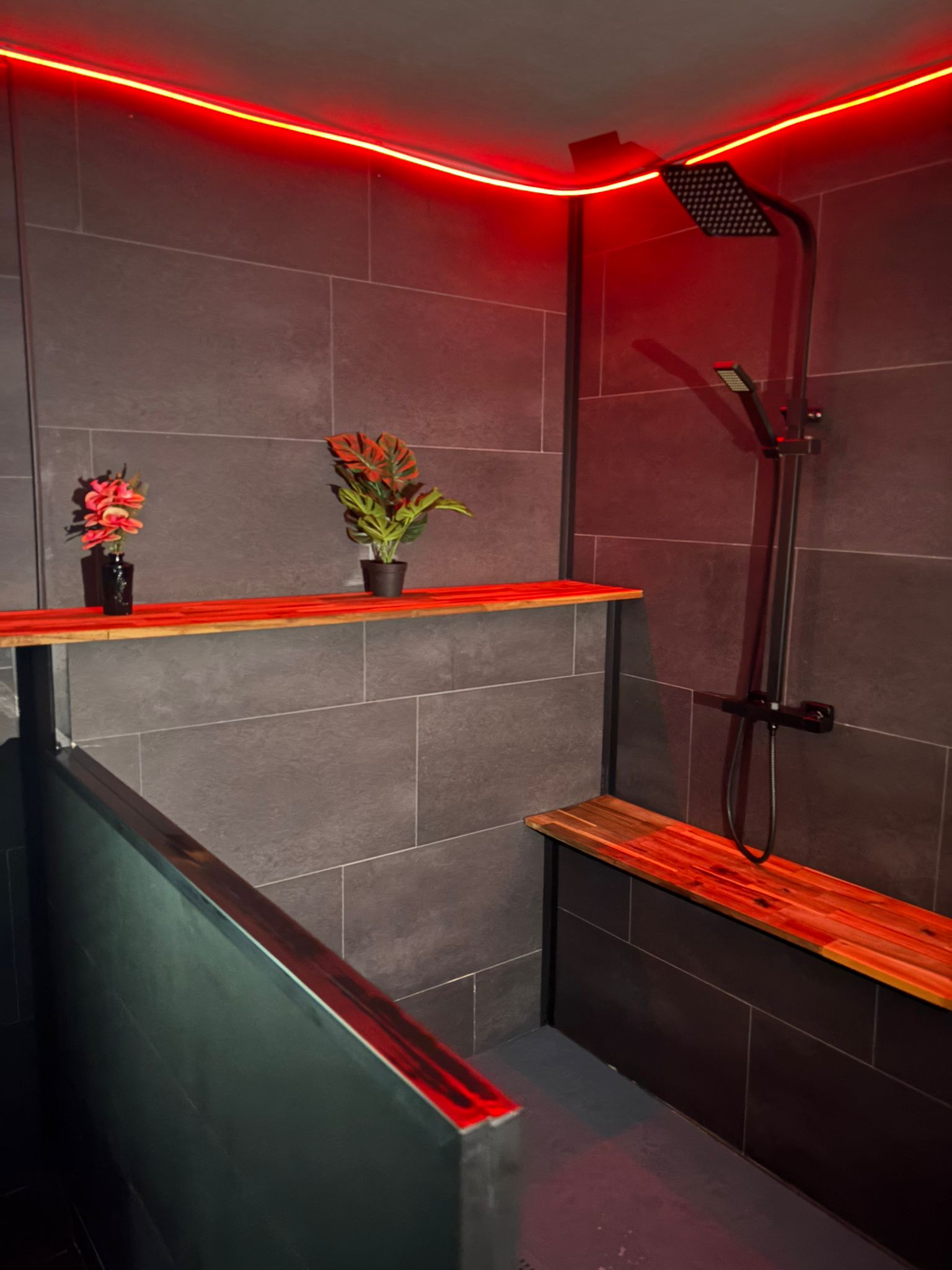 L'envers Suite M#01 Loveroom Metz - Vue panoramique de l'appartement 70m²